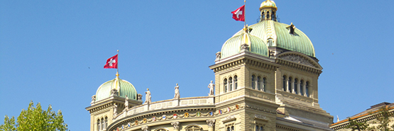 Forschung nach politischen Bereichen